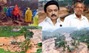 WhatsApp Image 2024-07-30 at 3.13.28 PM