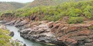 WhatsApp Image 2024-08-01 at 11.37.49 AM