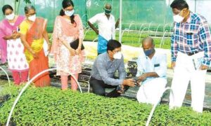 WhatsApp Image 2024-08-01 at 12.24.48 PM