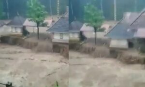 WhatsApp Image 2024-08-01 at 12.37.17 PM