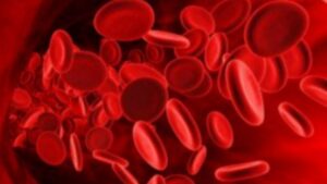 WhatsApp Image 2024-08-01 at 12.44.21 PM