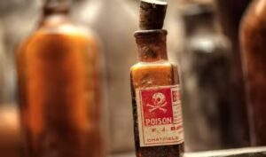 WhatsApp Image 2024-08-02 at 11.47.19 AM