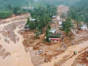 WhatsApp Image 2024-08-02 at 11.55.56 AM