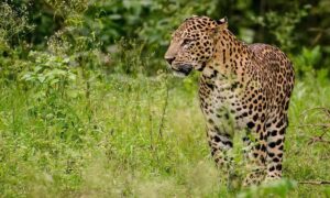 WhatsApp Image 2024-08-02 at 11.58.43 AM