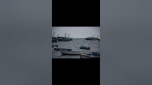 WhatsApp Image 2024-08-02 at 12.13.04 PM