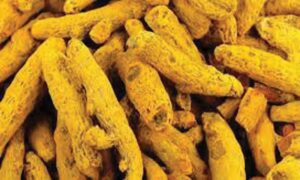 WhatsApp Image 2024-08-02 at 12.45.30 PM