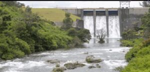 WhatsApp Image 2024-08-03 at 10.54.38 AM