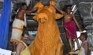 WhatsApp Image 2024-08-03 at 11.00.07 AM