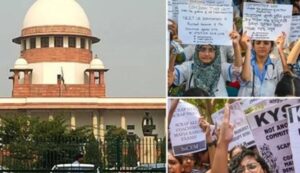 WhatsApp Image 2024-08-03 at 11.59.01 AM