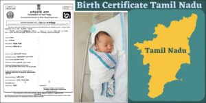 WhatsApp Image 2024-08-05 at 1.13.30 PM