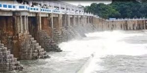 WhatsApp Image 2024-08-05 at 1.21.34 PM