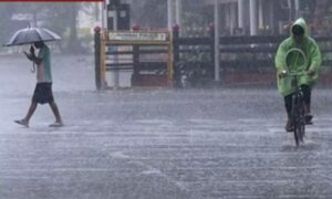 WhatsApp Image 2024-08-05 at 12.59.39 PM