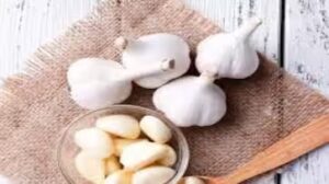 WhatsApp Image 2024-08-06 at 3.02.12 PM