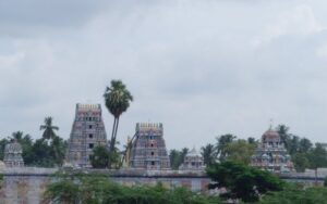 WhatsApp Image 2024-08-08 at 12.43.01 PM