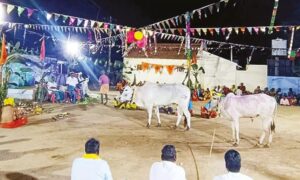 WhatsApp Image 2024-08-08 at 12.50.44 PM