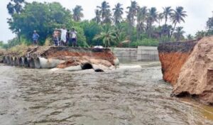 WhatsApp Image 2024-08-08 at 12.56.42 PM