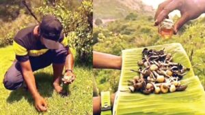 WhatsApp Image 2024-08-08 at 12.59.47 PM