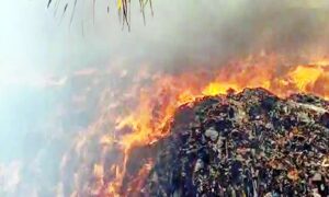 WhatsApp Image 2024-08-09 at 11.11.33 AM