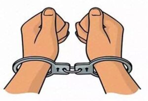 WhatsApp Image 2024-08-09 at 12.50.38 PM