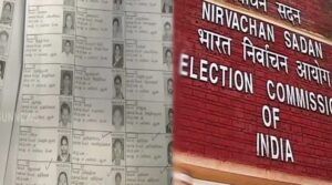 WhatsApp Image 2024-08-10 at 10.01.41 AM