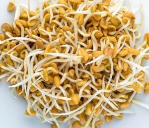 WhatsApp Image 2024-08-10 at 10.45.40 AM