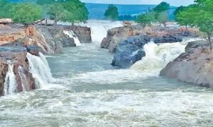 WhatsApp Image 2024-08-12 at 10.36.17 AM