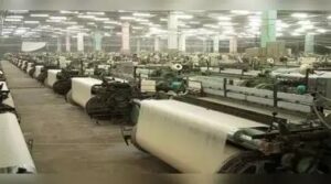 WhatsApp Image 2024-08-12 at 10.57.15 AM