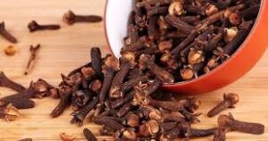 WhatsApp Image 2024-08-12 at 3.56.52 PM