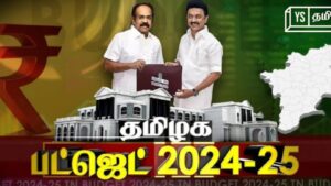 WhatsApp Image 2024-08-13 at 12.06.27 PM