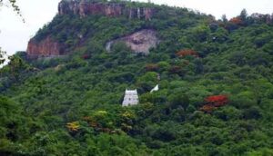 WhatsApp Image 2024-08-13 at 2.33.38 PM