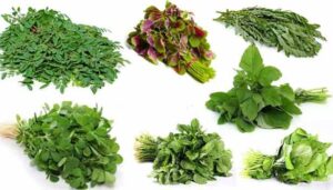 WhatsApp Image 2024-08-13 at 3.10.27 PM