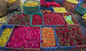 WhatsApp Image 2024-08-14 at 11.19.24 AM