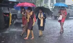 WhatsApp Image 2024-08-14 at 2.59.07 PM