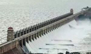 WhatsApp Image 2024-08-16 at 1.11.56 PM