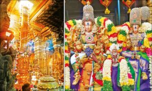 WhatsApp Image 2024-08-17 at 11.46.26 AM