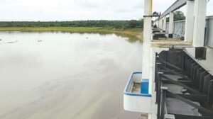 WhatsApp Image 2024-08-19 at 11.42.56 AM