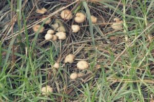 WhatsApp Image 2024-08-19 at 12.29.54 PM