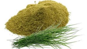 WhatsApp Image 2024-08-19 at 3.30.56 PM