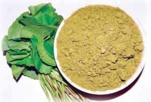 WhatsApp Image 2024-08-19 at 3.32.00 PM