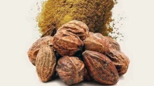 WhatsApp Image 2024-08-19 at 3.34.14 PM