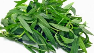 WhatsApp Image 2024-08-19 at 3.35.09 PM