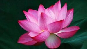 WhatsApp Image 2024-08-20 at 12.51.05 PM