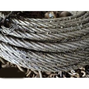 WhatsApp Image 2024-08-22 at 1.07.01 PM