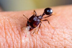 WhatsApp Image 2024-08-22 at 1.38.10 PM