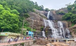 WhatsApp Image 2024-08-22 at 11.34.22 AM