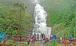 WhatsApp Image 2024-08-23 at 12.43.11 PM