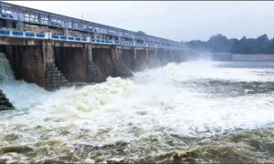 WhatsApp Image 2024-08-24 at 1.35.59 PM