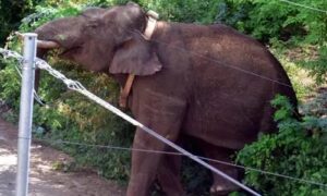 WhatsApp Image 2024-08-26 at 1.10.57 PM