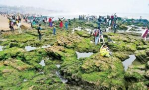 WhatsApp Image 2024-08-26 at 3.52.15 PM