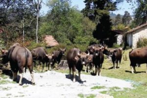 WhatsApp Image 2024-08-28 at 12.45.15 PM